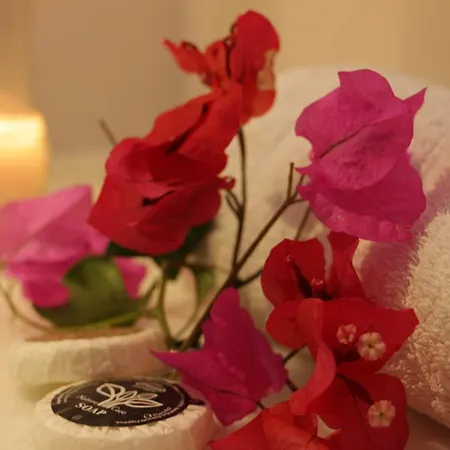 Anezina Village 3* 드리오스