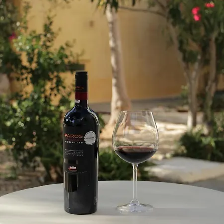 Anezina Village 드리오스