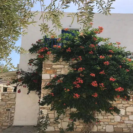 호텔 Anezina Village 3*