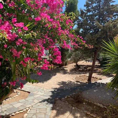 Anezina Village 호텔