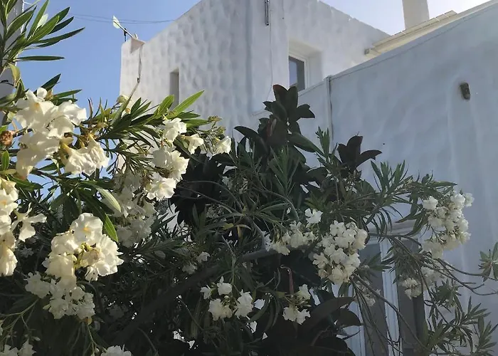 Hotell Anezina Village 3*