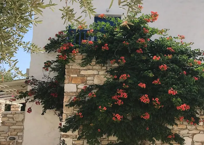 Hotell Anezina Village 3*