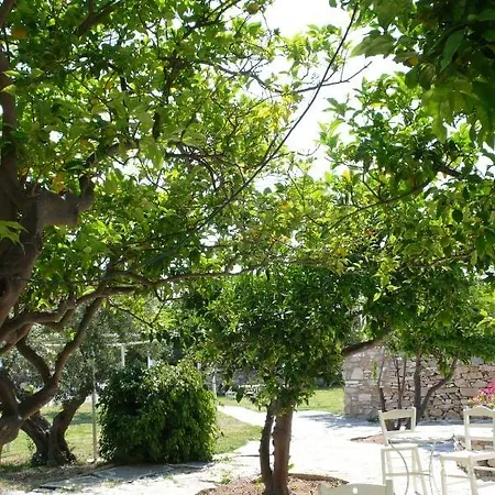 Hotel Anezina Village Drios