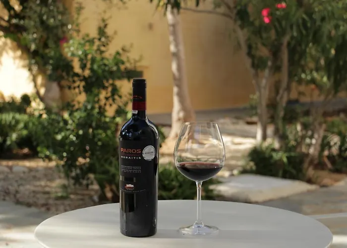 Anezina Village Drios