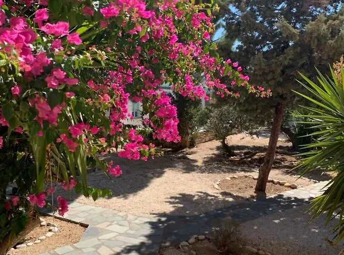 Anezina Village Hotel